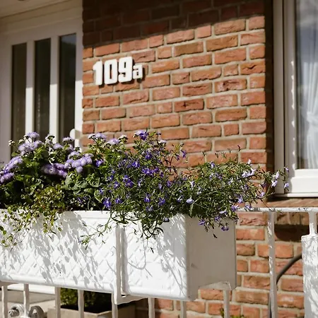 Sonnenblumenhaus 度假居 蒂门多弗施特兰德