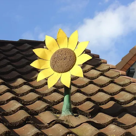 Sonnenblumenhaus